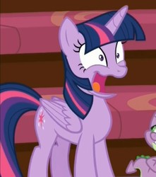 Size: 726x820 | Tagged: safe, screencap, twilight sparkle, alicorn, pony, g4, horse play, cropped, faic, great moments in animation, open mouth, twilight sparkle (alicorn)