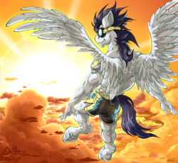 Size: 2000x1838 | Tagged: safe, artist:h-stallionwolf, soarin', pegasus, anthro, unguligrade anthro, g4, anime, back muscles, clothes, cloud, flying, goggles, male, muscles, shorts, sky, smiling, soaripped, solo, sports shorts, sunset, wings, wonderbolts