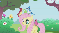 Size: 1280x720 | Tagged: safe, screencap, fluttershy, bird, blue jay, pegasus, pony, songbird, g4, season 1, the ticket master, canterlot gardens, female, flower, mare