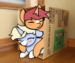 Size: 540x451 | Tagged: safe, artist:nootaz, oc, oc:game guard, oc:nootaz, pony, box, cute, duo, irl, nootabetes, photo, ponies in real life, pony in a box, ship:gametaz, snuggling