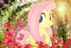 Size: 800x533 | Tagged: safe, fluttershy, pegasus, pony, g4, cute, female, flower, mare, shyabetes, solo, wallpaper