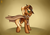 Size: 2000x1400 | Tagged: safe, artist:6editor9, oc, oc only, oc:threnody, pegasus, pony, fallout equestria, fallout equestria: speak, clothes, cowboy hat, fanfic art, female, green eyes, hat, looking at you, looking back, looking back at you, mare, smiling, solo, stetson, wings