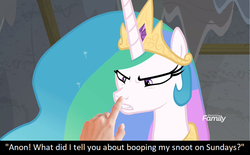 Size: 960x595 | Tagged: safe, edit, edited screencap, screencap, princess celestia, oc, oc:anon, human, pony, g4, horse play, angry, annoyed, boop, boop edit, bronybait, caption, celestia is not amused, discovery family logo, hand, meta, non-consensual booping, sillestia, silly, silly pony, text, this will end in a trip to the moon, this will end in pain, unamused