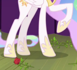 Size: 278x251 | Tagged: safe, screencap, princess celestia, g4, horse play, cropped, flower, hooves, legs, pictures of legs, raised hoof, rose