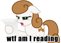 Size: 2000x1414 | Tagged: safe, artist:nxzc88, oc, oc only, oc:little morel, earth pony, pony, floppy ears, frown, image macro, impact font, meme, open mouth, paper, reaction image, show accurate, simple background, solo, transparent background, vector, what the fuck am i reading
