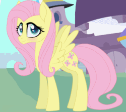 Size: 312x278 | Tagged: safe, artist:galacticflashd, fluttershy, pony, g4, animated, animation test, cute, female, flapping, looking at you, shyabetes, solo, wings, wip