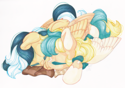 Size: 1509x1058 | Tagged: safe, artist:rinsole, oc, oc only, oc:bottle rocket, oc:sun light, pegasus, pony, colt, cuddling, cute, duo, female, filly, foal, male, simple background, sleeping, straight, traditional art
