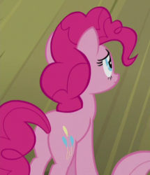 Size: 317x369 | Tagged: safe, screencap, pinkie pie, g4, horse play, butt, cropped, plot