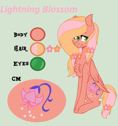 Size: 2304x2464 | Tagged: safe, artist:snowi-draws1997, oc, oc only, oc:lightning blossom, pegasus, pony, base used, chest fluff, female, flower, flower in hair, green background, high res, mare, offspring, parent:big macintosh, parent:fluttershy, parents:fluttermac, reference sheet, simple background, solo
