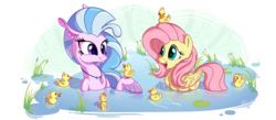 Size: 4000x1744 | Tagged: safe, alternate version, artist:pirill, fluttershy, silverstream, duck, pegasus, pony, seapony (g4), g4, school daze, abstract background, chest fluff, cute, diastreamies, duckling, female, fluffy, flutterduck, hoof hold, jewelry, lidded eyes, looking at something, looking down, mare, necklace, open mouth, pegaduck, seapony silverstream, shyabetes, simple background, smiling, swimming, white background