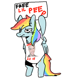 Size: 571x656 | Tagged: safe, artist:nobody, rainbow dash, pegasus, pony, g4, 1000 hours in ms paint, 4chan, april fools 2018, crying, female, mare, protest, sign, simple background, solo, white background