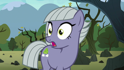 Size: 1920x1080 | Tagged: safe, screencap, limestone pie, earth pony, pony, g4, the maud couple, female, mare, open mouth, solo, wide eyes