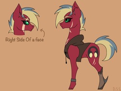 Size: 2048x1536 | Tagged: safe, artist:littlecritter, oc, oc:scratch, vampony, clothes, hoodie, reference sheet, scar