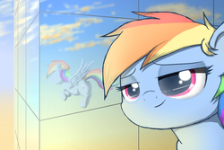 Size: 2000x1333 | Tagged: safe, artist:phoenixrk49, rainbow dash, pegasus, pony, g4, female, looking at you, mare, reflection, solo