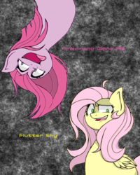 Size: 1200x1500 | Tagged: safe, artist:destroyer_aky, fluttershy, pinkie pie, earth pony, pegasus, pony, g4, duo, female, looking at you, mare, pinkamena diane pie