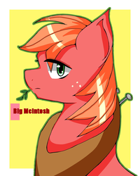 Size: 1200x1500 | Tagged: safe, artist:destroyer_aky, big macintosh, earth pony, pony, g4, bust, looking at you, male, pixiv, portrait, solo, stallion, straw in mouth