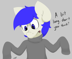 Size: 2456x2024 | Tagged: safe, artist:platenjack, oc, oc only, oc:platen, pony, bipedal, clothes, high res, solo, sweater
