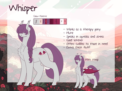 Size: 3000x2250 | Tagged: safe, artist:liefsong, oc, oc only, oc:whisper, bat pony, chest fluff, high res, mute, reference sheet