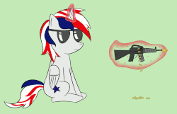 Size: 1042x670 | Tagged: safe, artist:php99, oc, alicorn, pony, animated, assault rifle, gun, murica, rifle, solo, sunglasses, weapon