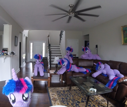 Size: 1285x1080 | Tagged: safe, artist:earthenhoof, artist:plushwaifus, twilight sparkle, pony, unicorn, g4, clone, couch, cute, duplication, female, head tilt, irl, leaning, life size, looking at you, mare, multeity, on back, photo, plushie, prone, sparkle sparkle sparkle, standing