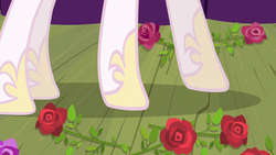 Size: 1280x720 | Tagged: safe, screencap, princess celestia, g4, horse play, flower, hoof shoes, hooves, legs, pictures of legs, rose