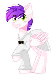 Size: 2513x3404 | Tagged: safe, artist:dollmaker47, oc, oc only, oc:loyal musics, pegasus, pony, clothes, hanbok, high res, male, simple background, solo, stallion, transparent background