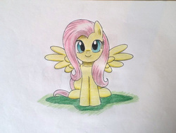Size: 768x576 | Tagged: safe, artist:mrbojorquez7, fluttershy, pegasus, pony, g4, cute, female, front view, full face view, looking at you, mare, shyabetes, sitting, smiling, solo, spread wings, traditional art, wings