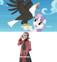 Size: 1280x1406 | Tagged: safe, edit, edited screencap, screencap, sweetie belle, bald eagle, eagle, human, g4, surf and/or turf, falconry, maxie (pokemon), meme, open beak, pokémon, spread wings, team magma, that's my pony, that's my x, wings