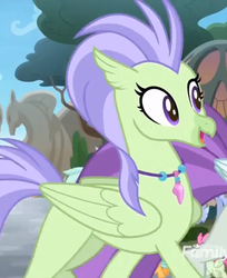 Size: 582x712 | Tagged: safe, screencap, drizzling sky, laguna, sunspray, hippogriff, g4, my little pony: friendship is magic, surf and/or turf, background hippogriff, cropped, female, female focus, jewelry, male, necklace, solo focus