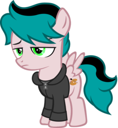 Size: 6670x7254 | Tagged: safe, artist:buckeyescozycafe, oc, oc only, oc:dash palette, pegasus, pony, absurd resolution, clothes, colt, hoodie, male, simple background, solo, transparent background