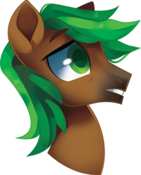 Size: 3358x4168 | Tagged: safe, artist:sorasku, oc, oc only, oc:jaeger sylva, pony, bust, male, portrait, simple background, solo, stallion, transparent background