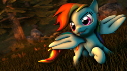 Size: 3840x2160 | Tagged: safe, artist:wiizzie, rainbow dash, pegasus, pony, g4, 3d, female, forest, high res, solo, source filmmaker