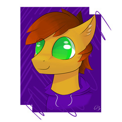 Size: 2107x2106 | Tagged: safe, artist:creepypastapon3, oc, oc only, oc:twitchyylive, pony, bust, high res, portrait, solo, three quarter view