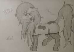 Size: 2670x1872 | Tagged: safe, artist:teardrop, oc, oc only, oc:tetra, earth pony, pony, clothes, curious, cute, female, floppy ears, leggings, long mane, mare, monochrome, paint (horse breed), sad, shy, socks, solo, spots, timid, traditional art, yandere