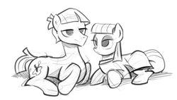 Size: 2253x1284 | Tagged: safe, artist:gsphere, maud pie, mudbriar, earth pony, pony, g4, the maud couple, female, grayscale, male, mare, monochrome, simple background, sketch, stallion, white background