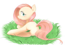 Size: 1000x694 | Tagged: safe, artist:tomitake, fluttershy, pegasus, pony, g4, butt, featureless crotch, female, looking at you, looking back, looking back at you, mare, plot, solo