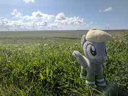 Size: 4048x3036 | Tagged: safe, artist:junky2k, derpy hooves, pony, g4, clothes, grass, irl, photo, plushie, socks, solo, striped socks