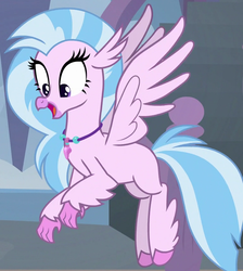 Size: 765x855 | Tagged: safe, screencap, silverstream, classical hippogriff, hippogriff, g4, school daze, cropped, female, flying, happy, solo, wings