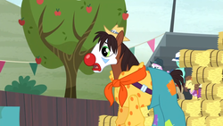 Size: 1366x768 | Tagged: safe, screencap, banana pudding, claviharp, rose spur, sirocco, trouble shoes, earth pony, pony, appleoosa's most wanted, g4, apple tree, clothes, clown, clown nose, cute, female, hat, makeup, male, mare, open mouth, red nose, rodeo, rodeo clown, stallion, tree, troublebetes, worried