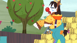 Size: 1366x768 | Tagged: safe, screencap, banana pudding, claviharp, doctor crushing, trouble shoes, earth pony, horse, pony, appleoosa's most wanted, g4, clown, eyes closed, female, majestic as fuck, male, mare, open mouth, rearing, rodeo, rodeo clown, stallion, unshorn fetlocks