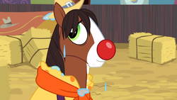 Size: 1366x768 | Tagged: safe, screencap, trouble shoes, appleoosa's most wanted, g4, clothes, clown nose, cute, happy, male, red nose, rodeo, smiling, solo, troublebetes, wet, wet mane