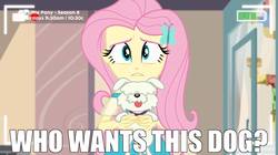 Size: 1536x863 | Tagged: safe, edit, edited screencap, screencap, fluttershy, dog, equestria girls, g4, my little pony equestria girls: better together, outtakes (episode), camera, family guy, image macro, male, meme, ollie williams, pup-pup, recording, reference