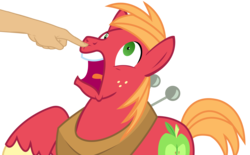 Size: 5619x3494 | Tagged: safe, artist:sketchmcreations, edit, edited edit, big macintosh, earth pony, pony, g4, no second prances, ahhh, boop, boop edit, hand, male, non-consensual booping, raised hoof, screaming, simple background, solo, transparent background, vector