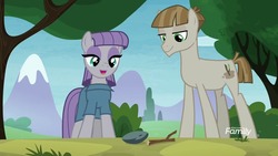 Size: 1280x720 | Tagged: safe, screencap, boulder (g4), maud pie, mudbriar, twiggy, earth pony, pony, g4, the maud couple, discovery family logo, duo, female, looking down, low angle, male, ship:maudbriar, shipping, straight