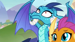 Size: 1121x633 | Tagged: safe, screencap, princess ember, smolder, dragon, g4, school daze, covering ears, dragoness, duo, faic, female, reaction image, spread wings, wings