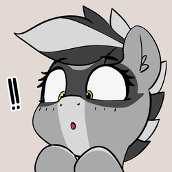 Size: 1395x1395 | Tagged: safe, artist:pabbley, oc, oc only, oc:bandy cyoot, raccoon pony, solo, surprised