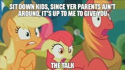 Size: 480x268 | Tagged: safe, edit, edited screencap, screencap, apple bloom, applejack, big macintosh, earth pony, pony, g4, the perfect pear, apple siblings, apple sisters, brother and sister, female, filly, foal, image macro, implied goldie delicious, lip bite, male, mare, meme, open mouth, siblings, sisters, stallion, text