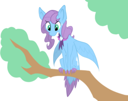 Size: 1023x809 | Tagged: safe, artist:agentkirin, saddle rager, oc, oc only, oc:feather fluff, hippalectryon, pony, colored hooves, female, perching, power ponies, simple background, solo, sweat, sweatdrop, transparent background, tree, tree branch