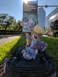 Size: 3036x4048 | Tagged: safe, artist:junky2k, derpy hooves, trixie, twilight sparkle, pony, bronycon, g4, baltimore, irl, photo, plushie, ponies around the world