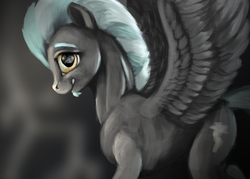 Size: 4021x2875 | Tagged: safe, artist:splatterpaint-donkey, thunderlane, pegasus, pony, g4, abstract background, beard, cutie mark, eyebrows, facial hair, looking at you, male, profile, smiling, solo, spread wings, stallion, wings